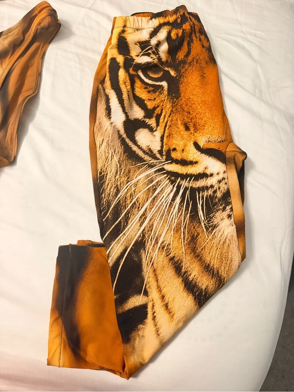 Skims x Roberto Cavalli